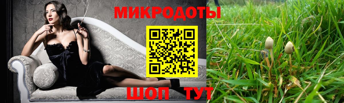 наркота  Псилоцибиновые грибы MAGIC MUSHROOMS  Топки  Вход с VPN  Галлюциногенные грибы GOLDEN TEACHER 